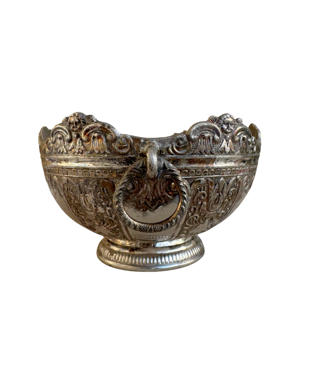 Small Silver Shell Arrangement
