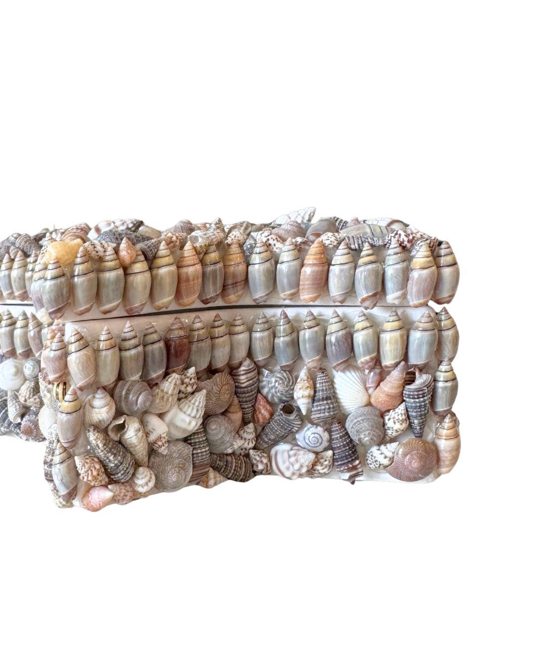 Star Seashell Box