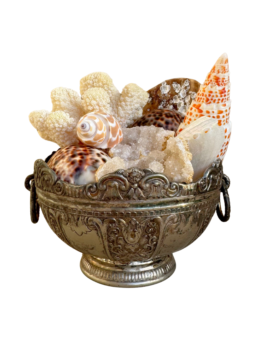 Small Silver Shell Arrangement