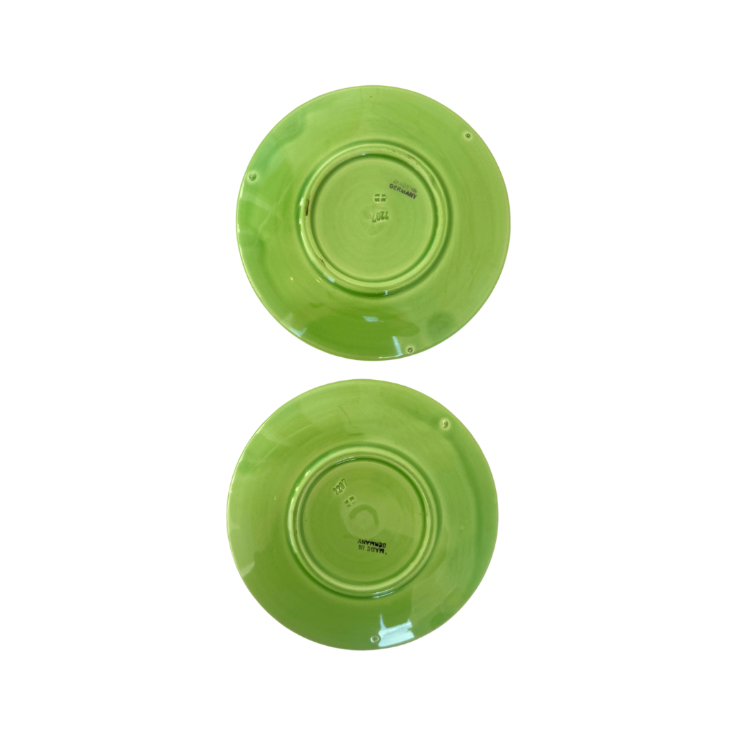 Floral Majolica Plate PAIR