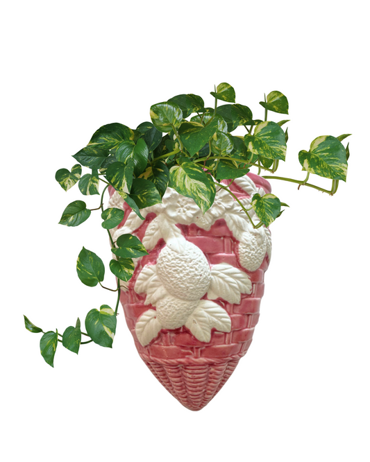 Strawberry Wall Pocket