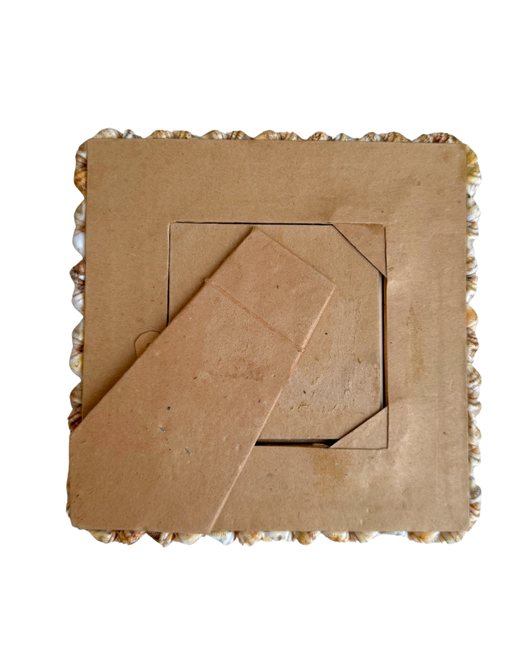 Vintage Citrus Shell Frame