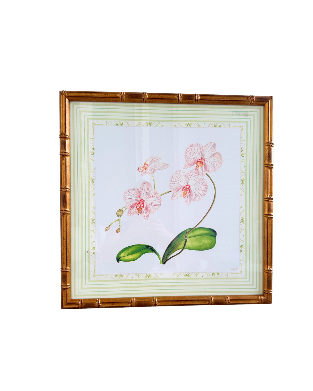 Framed Orchid Print