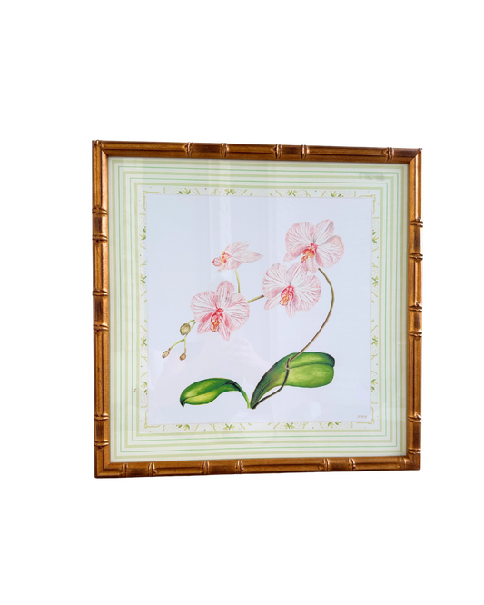 Framed Orchid Print
