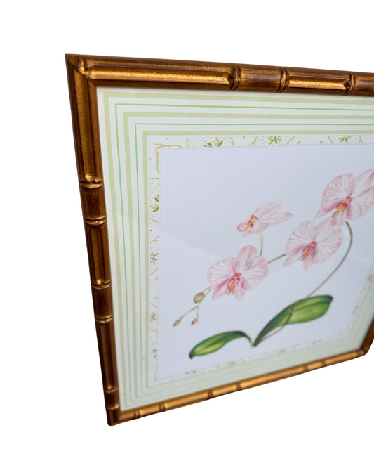 Framed Orchid Print