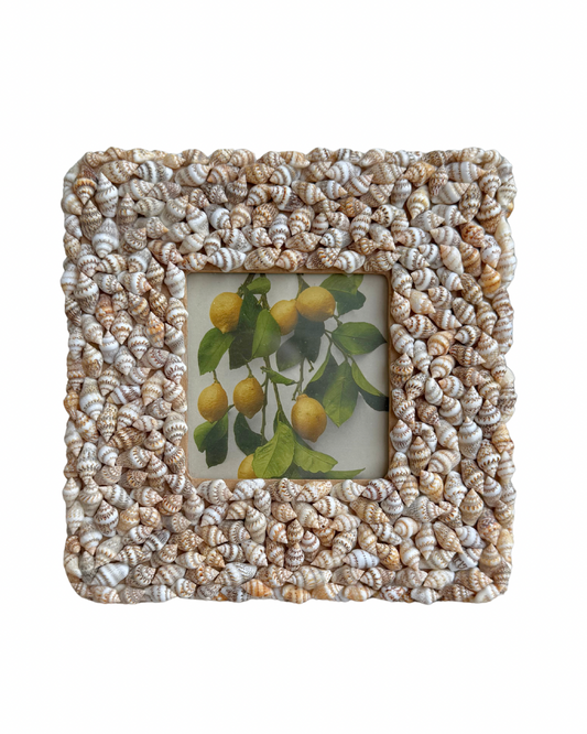 Vintage Citrus Shell Frame