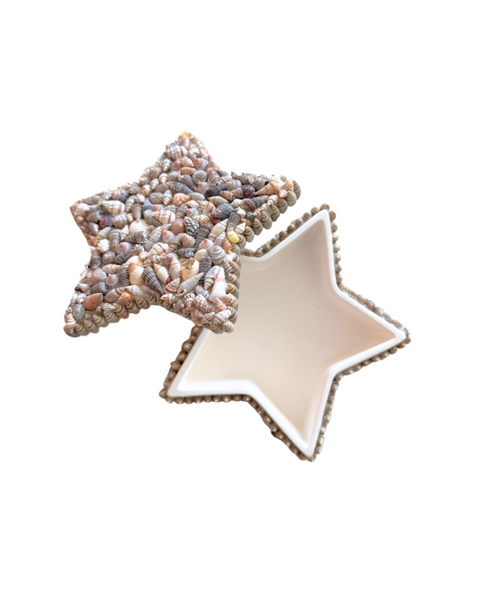 Star Seashell Box