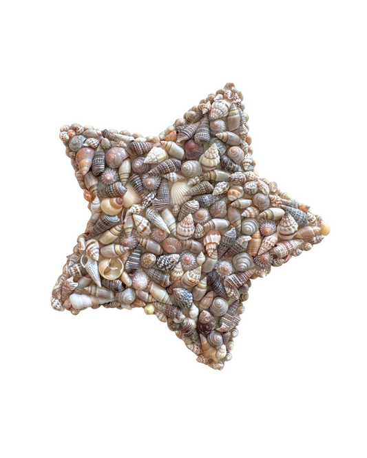 Star Seashell Box