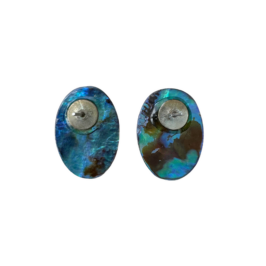 Abalone Earrings