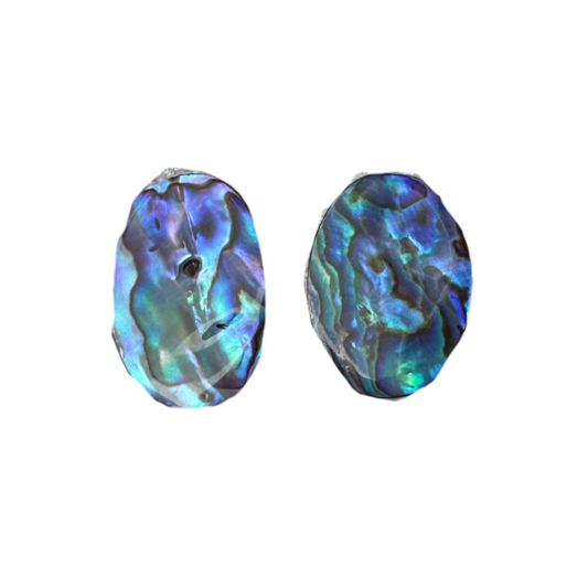 Abalone Earrings