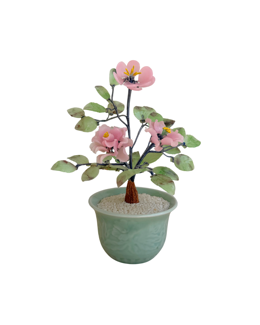 Bonsai Tree